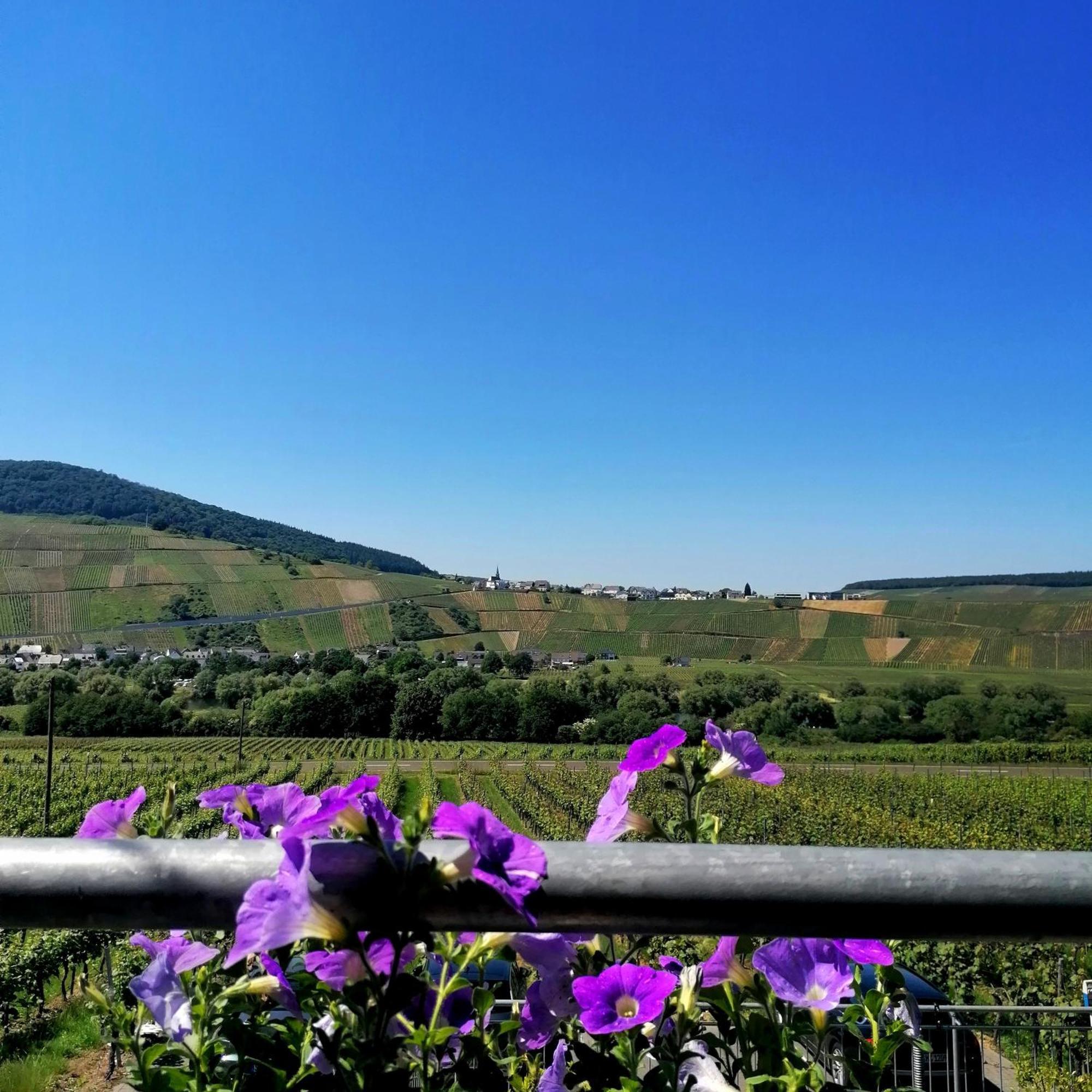 Bed and Breakfast Weingut Tiliahof Браунеберґ Екстер'єр фото