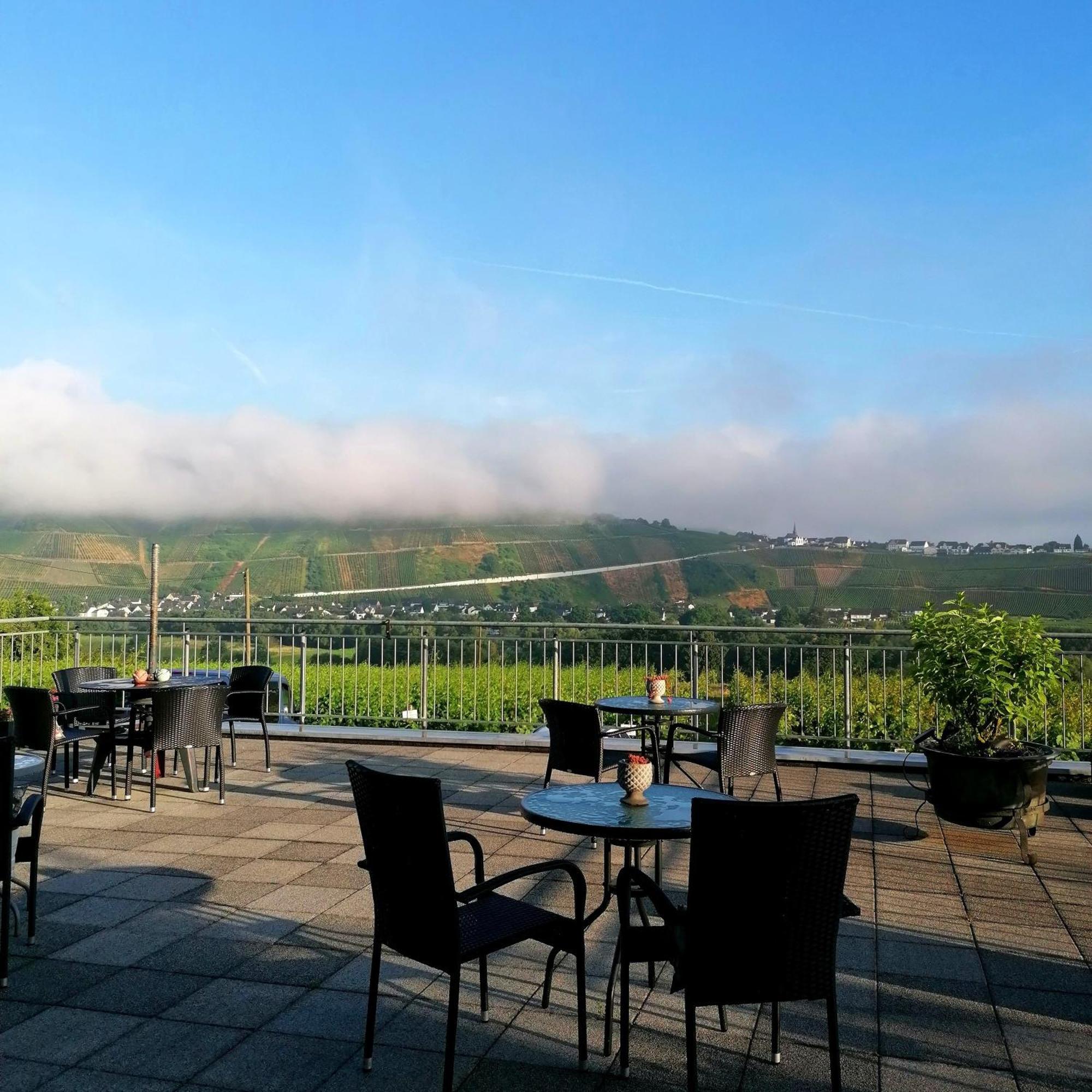 Bed and Breakfast Weingut Tiliahof Браунеберґ Екстер'єр фото